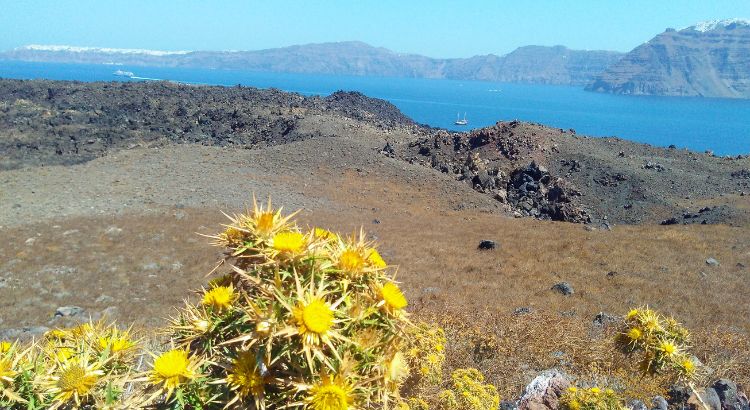 Unveiling the Enigma of the Santorini Volcano